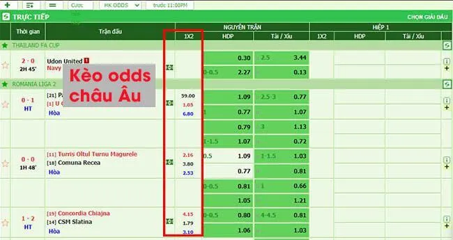 Fair Odds là tỷ lệ lý thuyết còn Fixed Odds, Handicap và Odds sẽ do nhà cái cung cấp cho người chơi