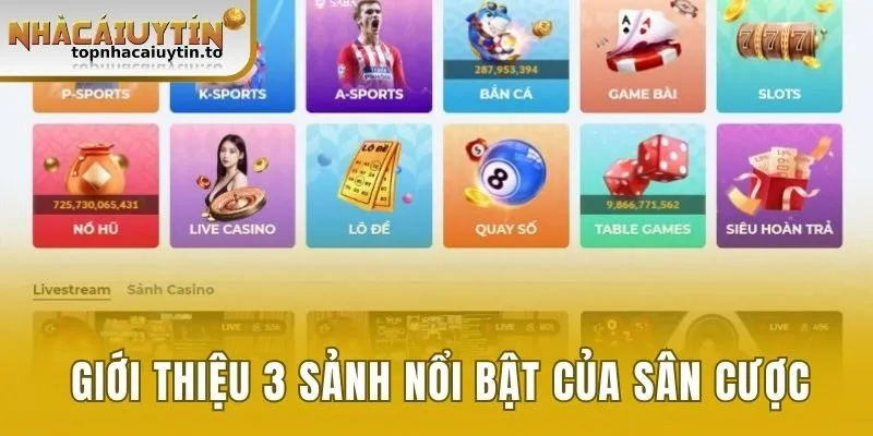 Giới thiệu 3 sảnh nổi bật của sân cược