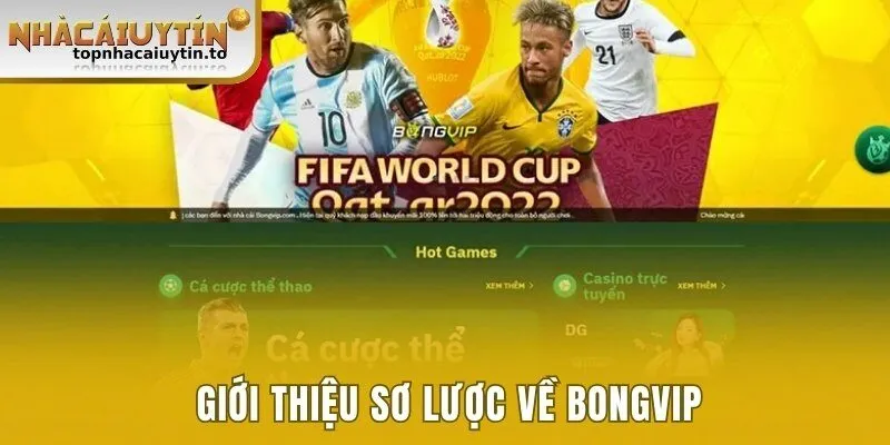Giới thiệu sơ lược về Bongvip