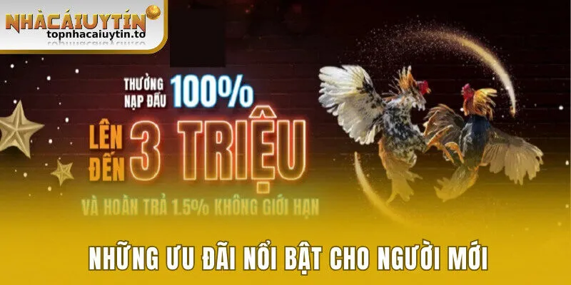Đá gà là hình thức giải trí nổi bật nhất của nền tảng
