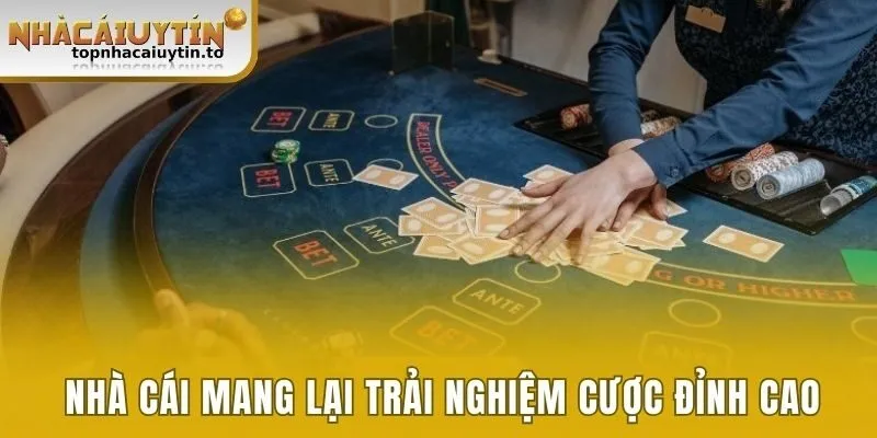 Nhà cái mang lại trải nghiệm cược đỉnh cao