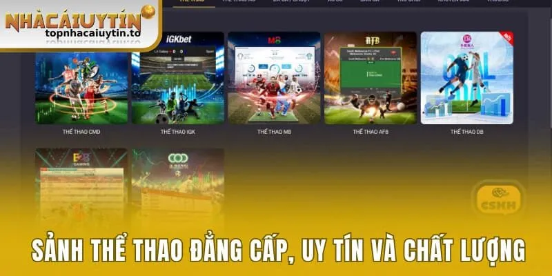 Sảnh thể thao đẳng cấp, uy tín và chất lượng