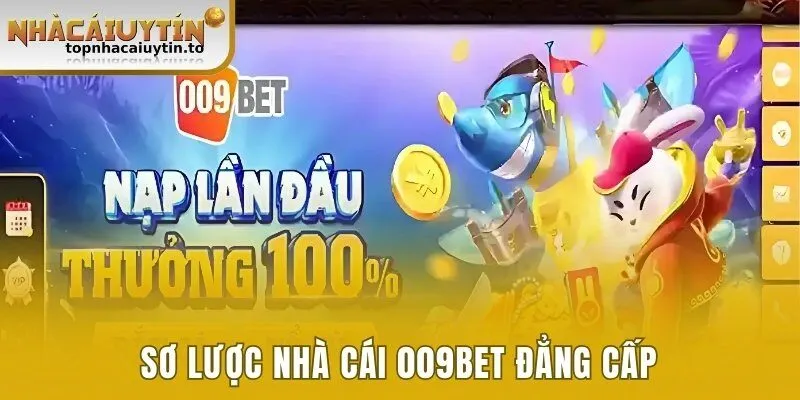 Sơ lược nhà cái 009BET đẳng cấp 