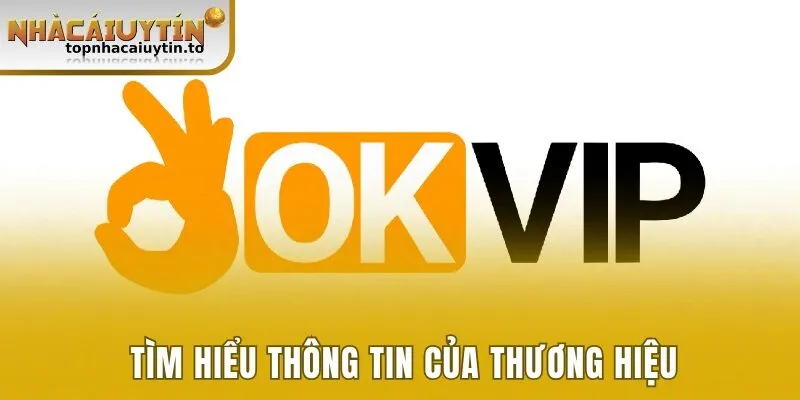 Tìm hiểu về thông tin và sự phát triển của thương hiệu