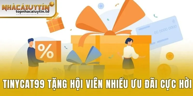Tinycat99 dành tặng hội viên nhiều ưu đãi cực hời