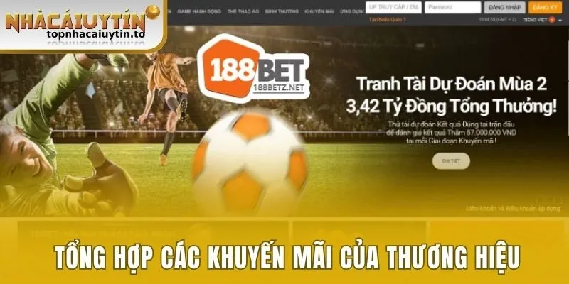 Tổng hợp các khuyến mãi của thương hiệu