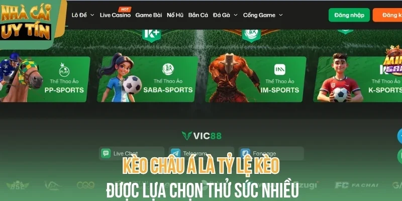 Kèo châu Á là tỷ lệ kèo được lựa chọn thử sức nhiều tại vic88