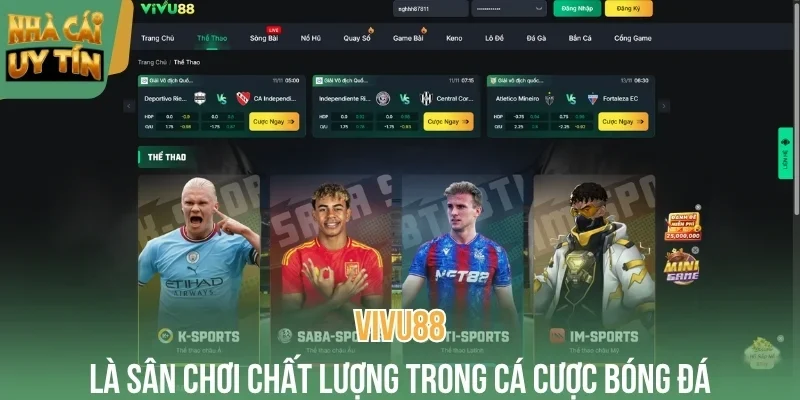 Vivu88 được đánh giá là nhà cái bóng đá hàng đầu khu vực